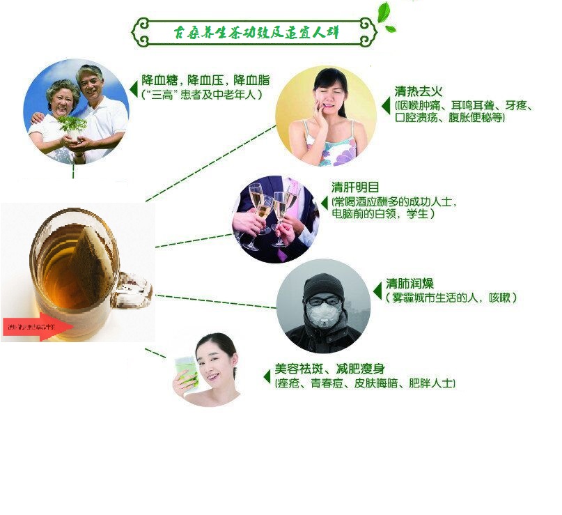 桑葉茶，營養(yǎng)長壽健康之茶