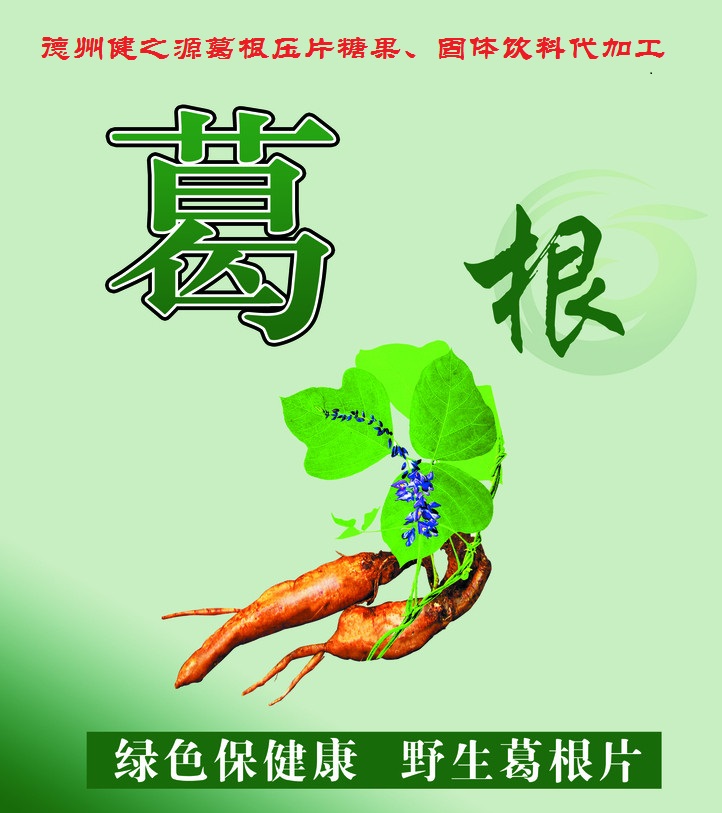 葛根，男女通用的人體調(diào)理專家