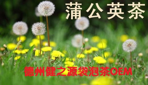 蒲公英茶，今天您喝了嗎？