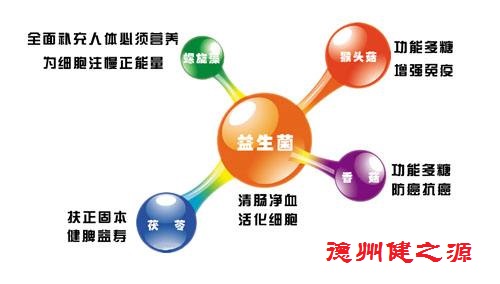 夏天腸胃問題頻發(fā)，您應該用益生菌了